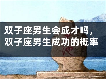 双子座男生会成才吗，双子座男生成功的概率