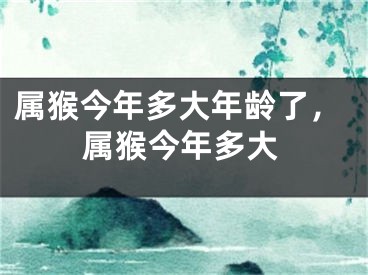 属猴今年多大年龄了，属猴今年多大