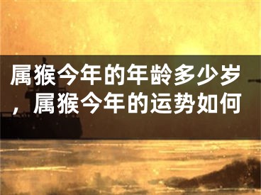 属猴今年的年龄多少岁，属猴今年的运势如何