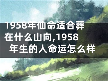 1958年仙命适合葬在什么山向,1958年生的人命运怎么样