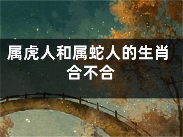 属虎人和属蛇人的生肖合不合