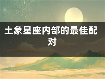 土象星座内部的最佳配对