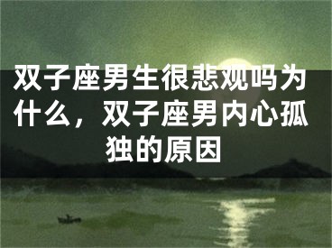 双子座男生很悲观吗为什么，双子座男内心孤独的原因