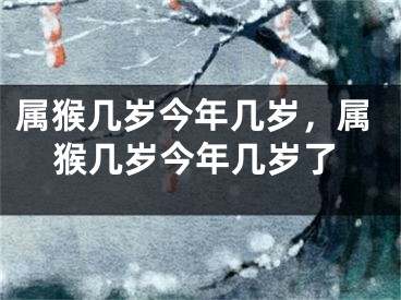 属猴几岁今年几岁，属猴几岁今年几岁了