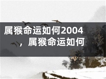 属猴命运如何2004，属猴命运如何