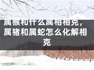 属猴和什么属相相克，属猪和属蛇怎么化解相克