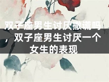 双子座男生讨厌撒谎吗，双子座男生讨厌一个女生的表现