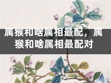 属猴和啥属相最配，属猴和啥属相最配对