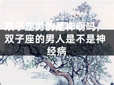双子座男的是神明吗，双子座的男人是不是神经病