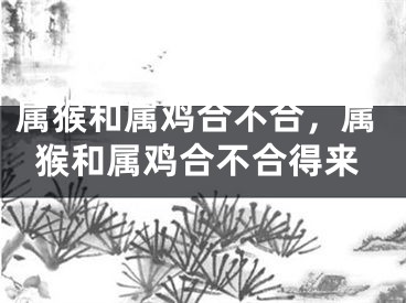 属猴和属鸡合不合，属猴和属鸡合不合得来