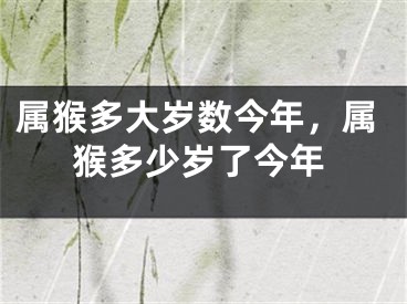 属猴多大岁数今年，属猴多少岁了今年