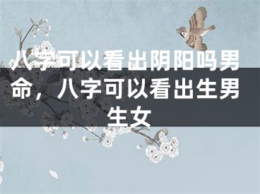 八字可以看出阴阳吗男命，八字可以看出生男生女