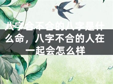 八字合不合的八字是什么命，八字不合的人在一起会怎么样