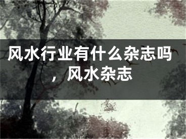 风水行业有什么杂志吗，风水杂志