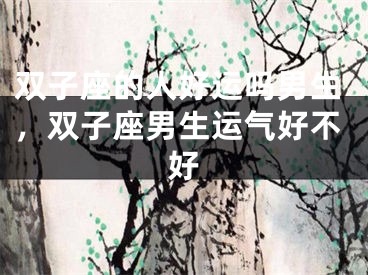 双子座的人好运吗男生，双子座男生运气好不好