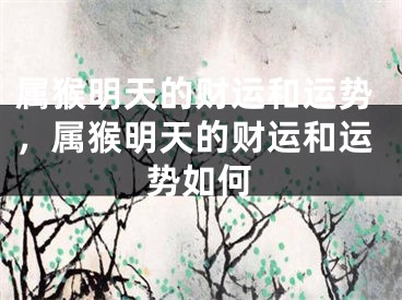 属猴明天的财运和运势,属猴明天的财运和运势如何