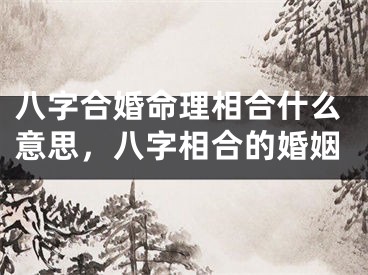 八字合婚命理相合什么意思，八字相合的婚姻