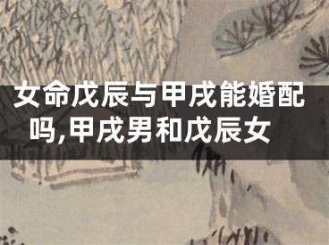 女命戊辰与甲戌能婚配吗,甲戌男和戊辰女
