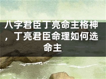 八字君臣丁亮命主格神，丁亮君臣命理如何选命主