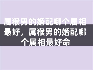 属猴男的婚配哪个属相最好，属猴男的婚配哪个属相最好命