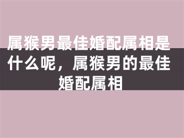 属猴男最佳婚配属相是什么呢，属猴男的最佳婚配属相