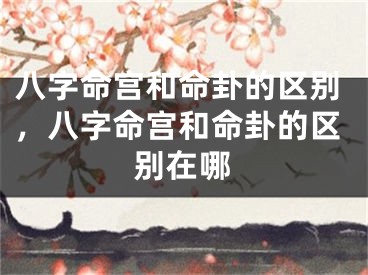 八字命宫和命卦的区别，八字命宫和命卦的区别在哪