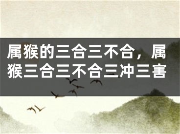 属猴的三合三不合，属猴三合三不合三冲三害
