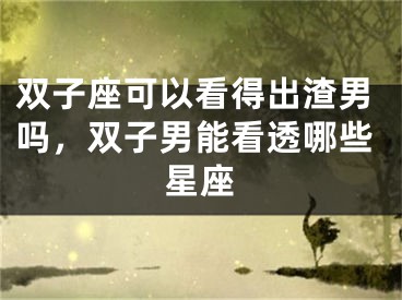 双子座可以看得出渣男吗，双子男能看透哪些星座