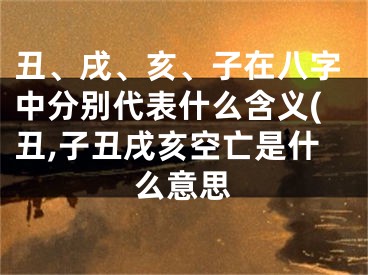 丑、戌、亥、子在八字中分别代表什么含义(丑,子丑戌亥空亡是什么意思