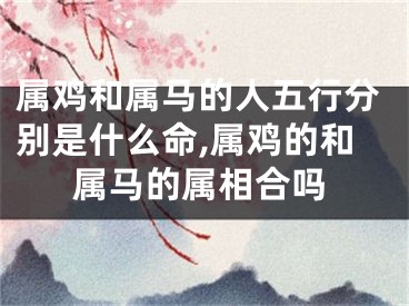 属鸡和属马的人五行分别是什么命,属鸡的和属马的属相合吗