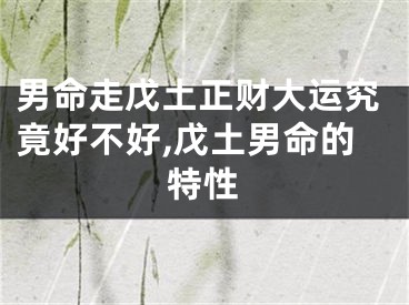 男命走戊土正财大运究竟好不好,戊土男命的特性