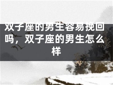 双子座的男生容易挽回吗,双子座的男生怎么样