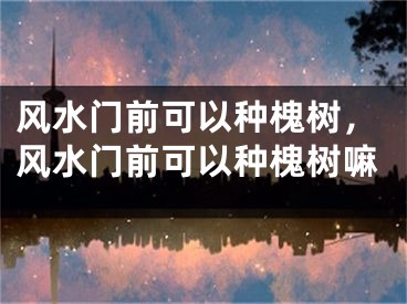 风水门前可以种槐树，风水门前可以种槐树嘛