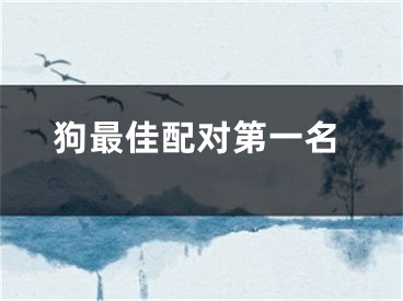 狗最佳配对第一名