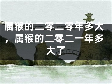 属猴的二零二零年多大，属猴的二零二一年多大了