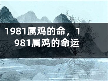 1981属鸡的命，1981属鸡的命运