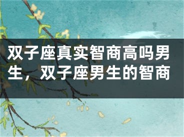 双子座真实智商高吗男生，双子座男生的智商
