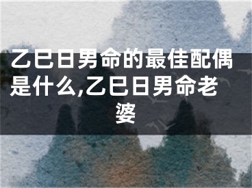 乙巳日男命的最佳配偶是什么,乙巳日男命老婆