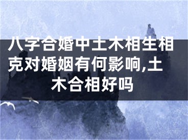 八字合婚中土木相生相克对婚姻有何影响,土木合相好吗