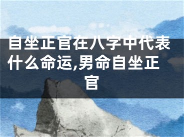 自坐正官在八字中代表什么命运,男命自坐正官