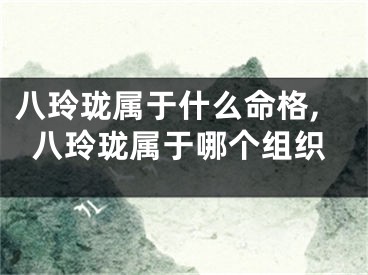 八玲珑属于什么命格,八玲珑属于哪个组织