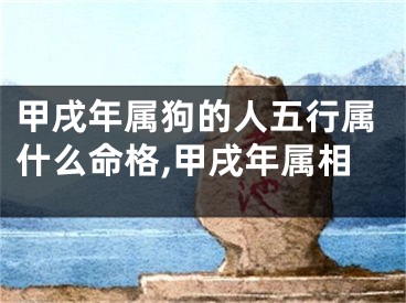 甲戌年属狗的人五行属什么命格,甲戌年属相