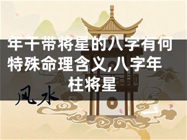 年干带将星的八字有何特殊命理含义,八字年柱将星