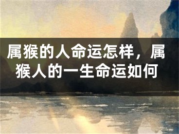 属猴的人命运怎样，属猴人的一生命运如何