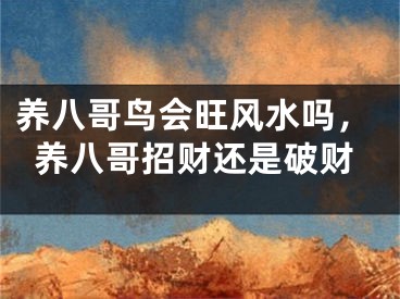 养八哥鸟会旺风水吗，养八哥招财还是破财