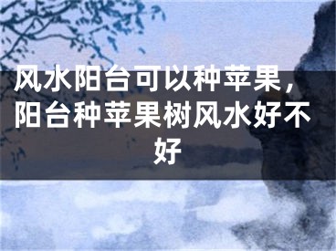 风水阳台可以种苹果，阳台种苹果树风水好不好