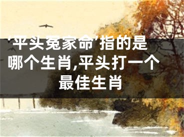 ‘平头冤家命’指的是哪个生肖,平头打一个最佳生肖
