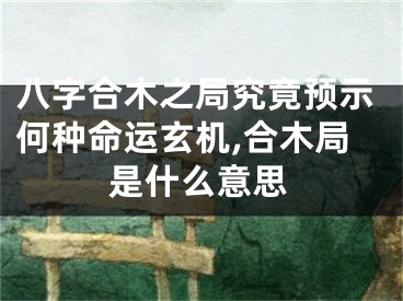 八字合木之局究竟预示何种命运玄机,合木局是什么意思