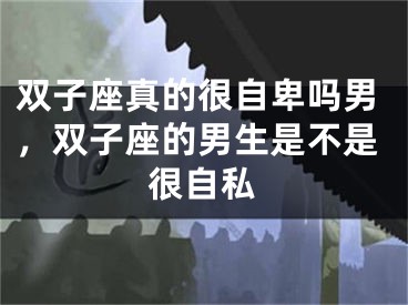 双子座真的很自卑吗男，双子座的男生是不是很自私