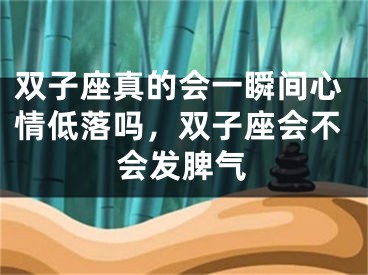 双子座真的会一瞬间心情低落吗，双子座会不会发脾气